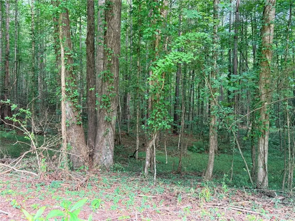 Lot 8 Pettit Road, Jasper, GA 30143 - #1