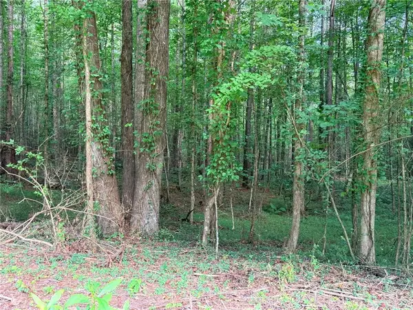 Lot 8 Pettit Road, Jasper, GA 30143