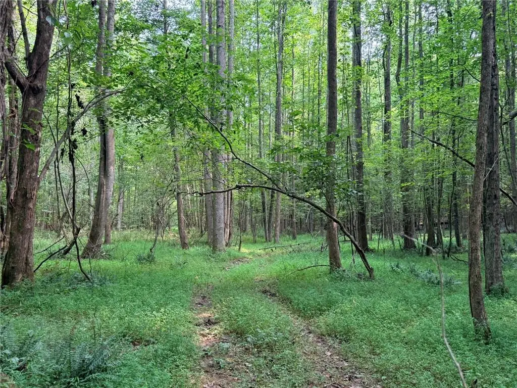 Lot 4 Pettit Road, Jasper, GA 30143 - #1