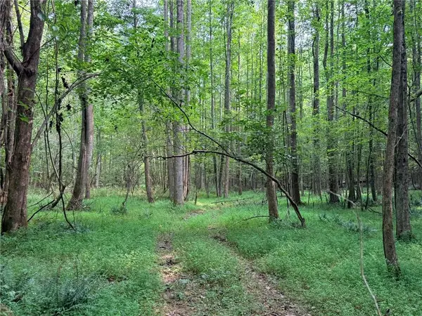 Lot 4 Pettit Road, Jasper, GA 30143