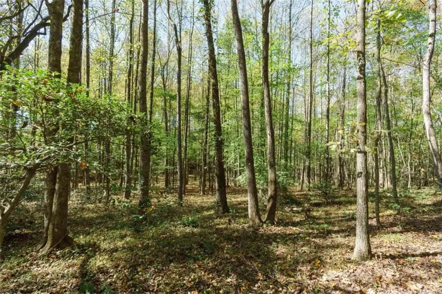 140 Highpoint Ridge Court, Ellijay, GA 30540 - #2
