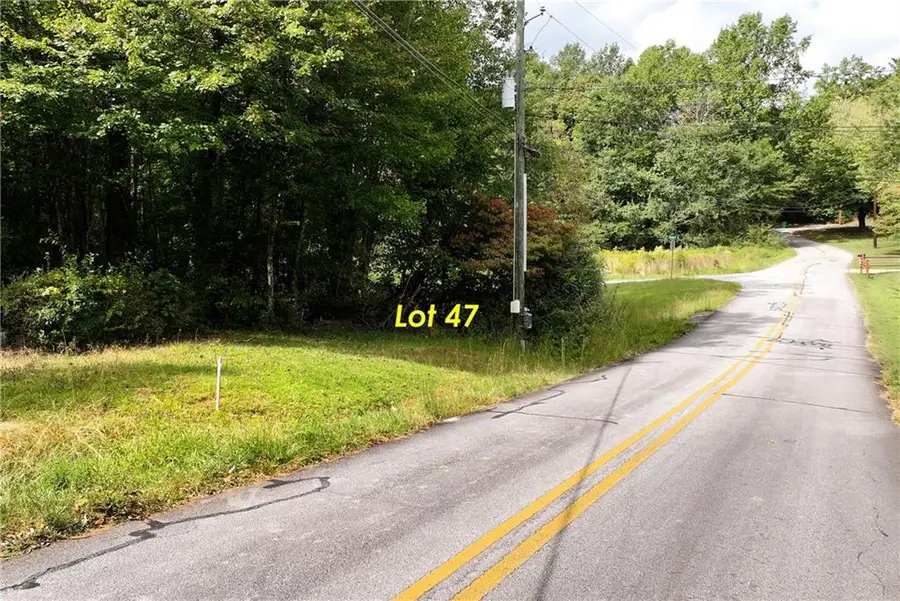 LOT 47 Barron Drive, Clarkesville, GA 30523 - #3