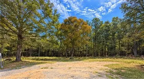 956 Plainville Road Ne, Plainville, GA 30733 - #3