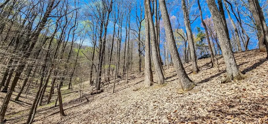 7078 Wild Azalea Circle, Big Canoe, GA 30143 - #3