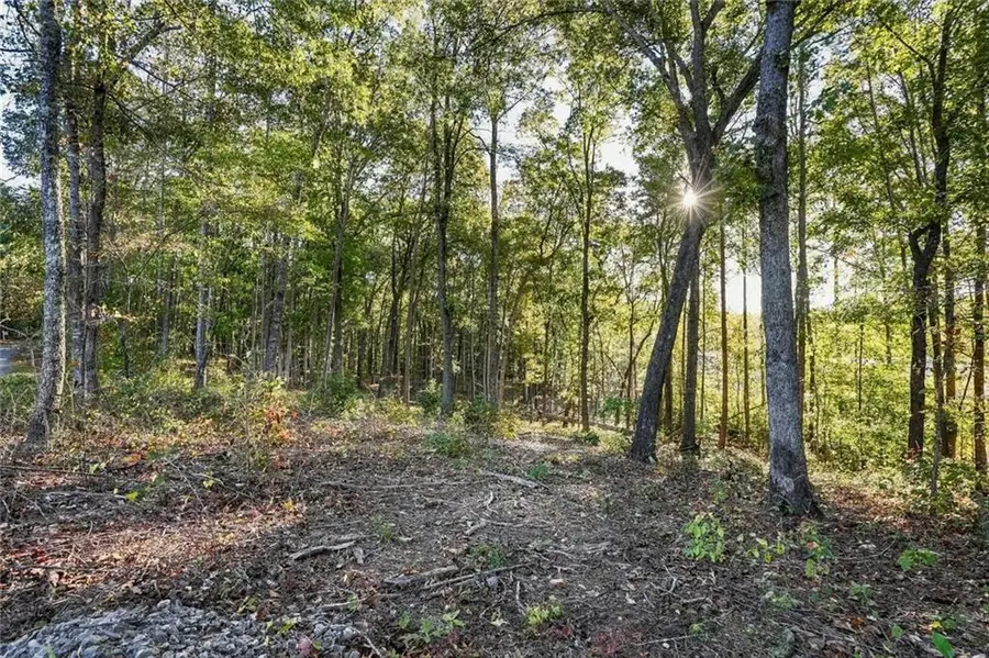 650 Chattin Drive, Canton, GA 30115 - #3