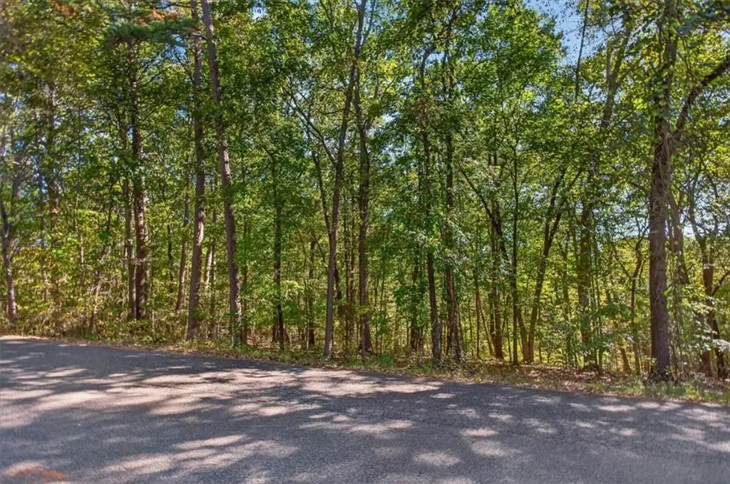 0 Hendrix Lane, Ball Ground, GA 30107 - #1