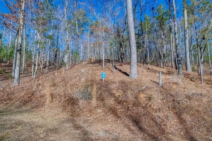 39 Harris Creek Drive, Ellijay, GA 30540 - #3