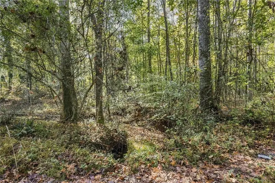 3627 Westmoreland Road, Cleveland, GA 30528 - #2