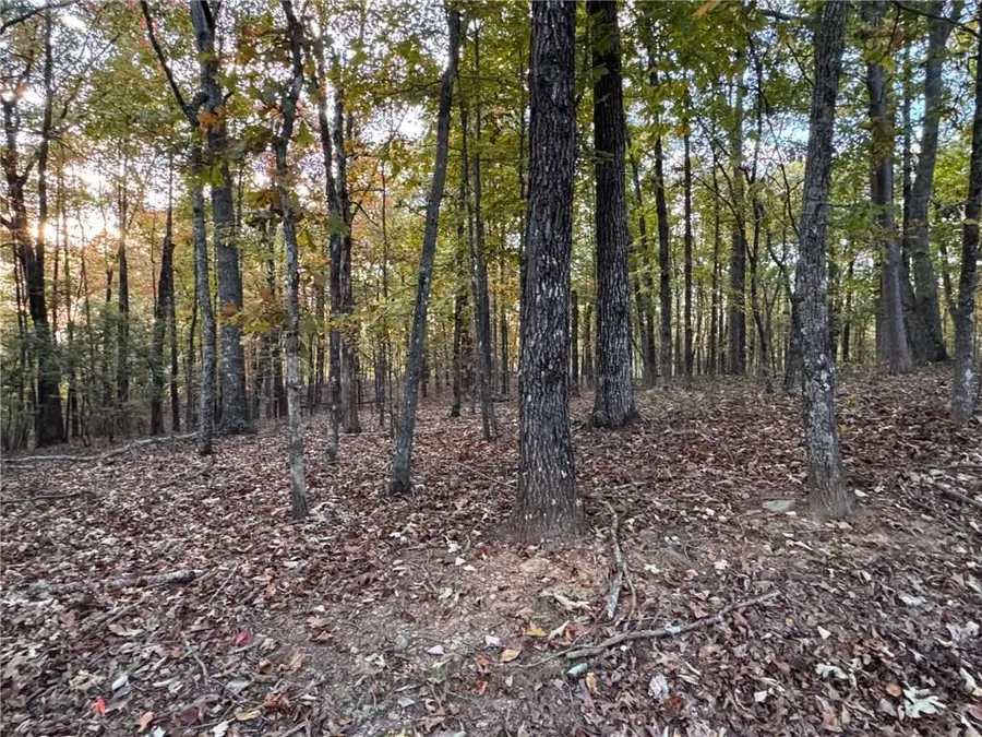 1355 Hunter Drive, Ranger, GA 30734 - #2