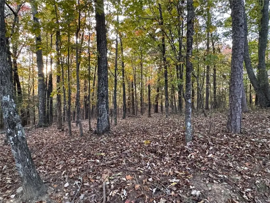 1355 Hunter Drive, Ranger, GA 30734 - #3