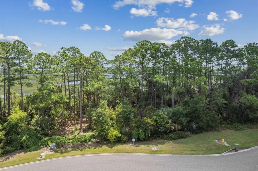 96744 Soap Creek Drive, Fernandina Beach, FL 32034 - Image #2