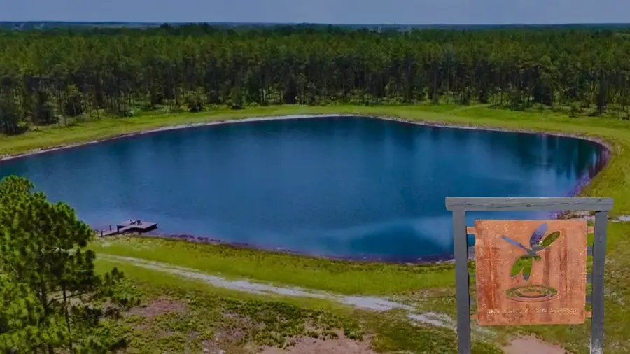 6064 Us Highway 301, Bryceville, FL 32009 - Image #2