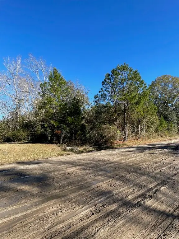 0 Eula B Road, Callahan, FL 32011 - Image #3