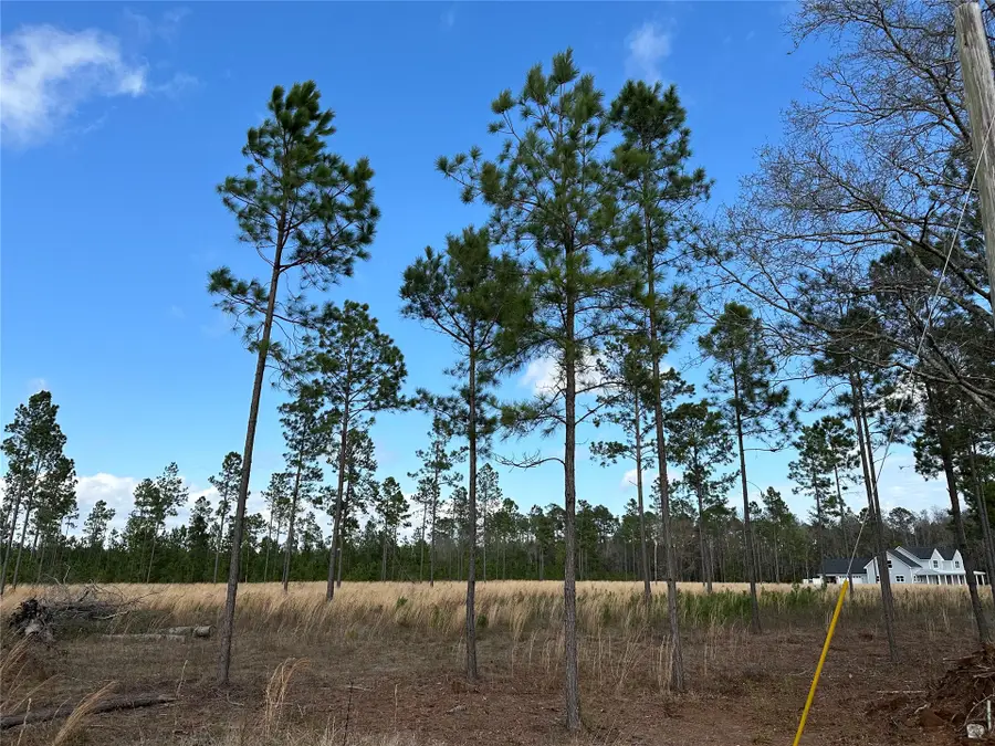 15538 County Road 108, Hilliard, FL 32046 - #2
