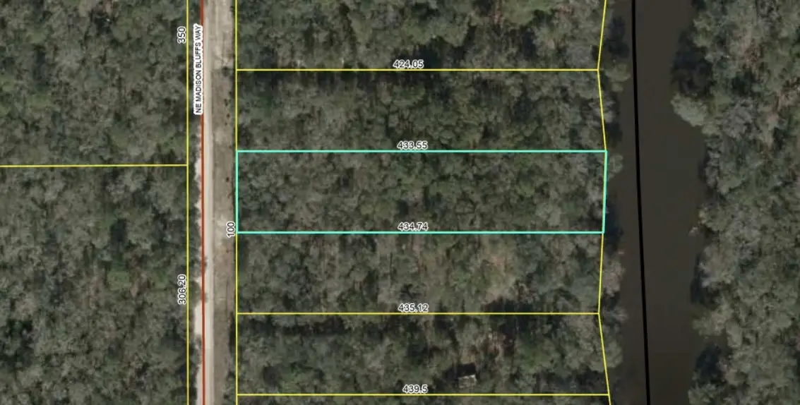 Lot 12 NE Madison Bluffs Way, Lee, FL 32058 - Image #1