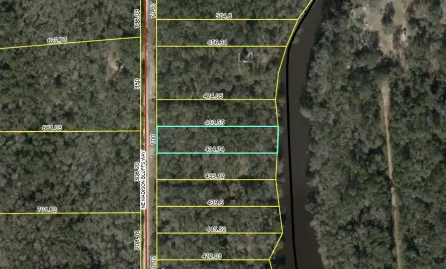 Lot 12 NE Madison Bluffs Way, Lee, FL 32058 - Image #2