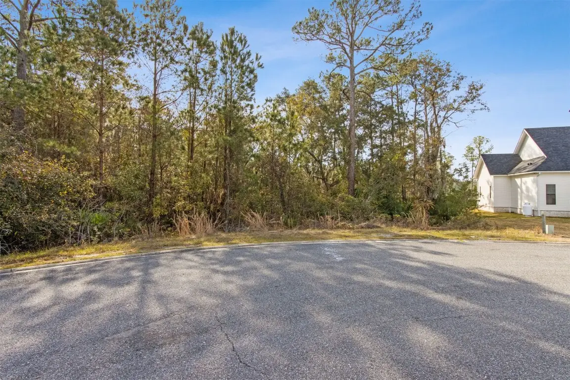 95375 Brookhill Place, Fernandina Beach, FL 32034 - Image #1