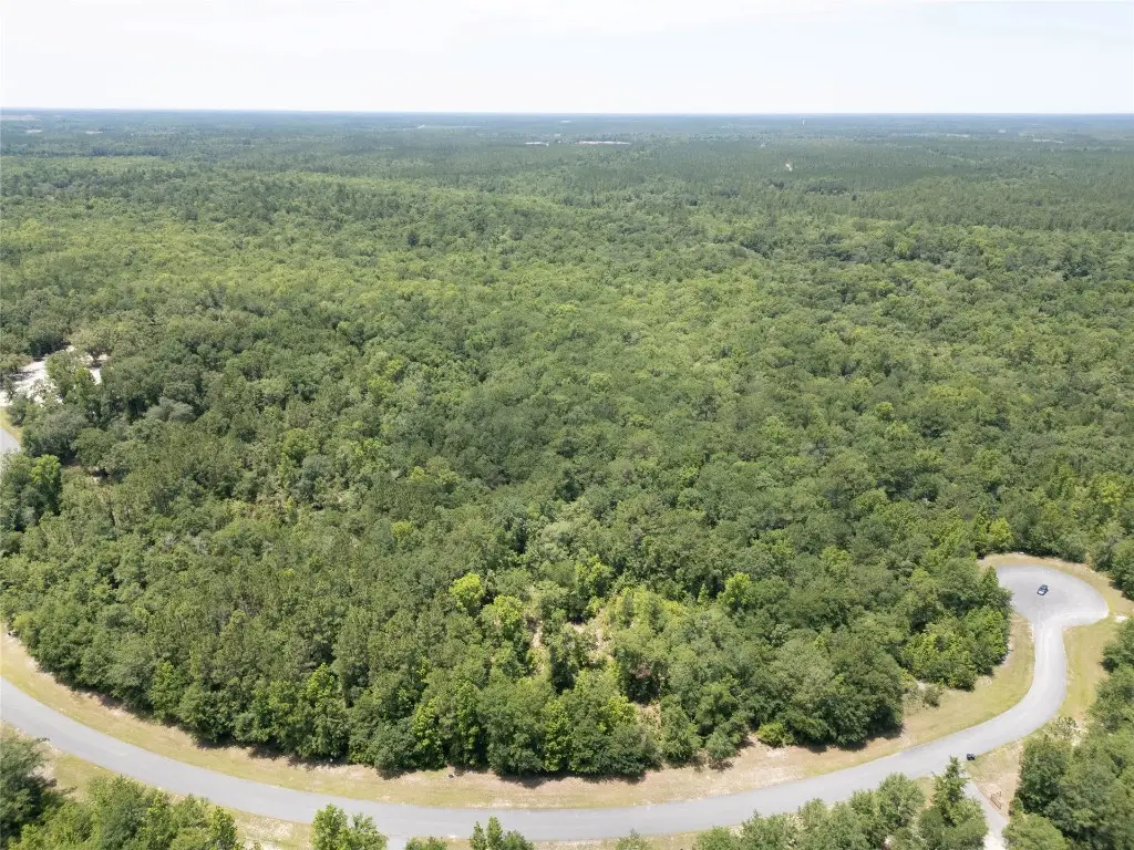 15457 Bullock Bluff Road, Bryceville, FL 32009 - #1