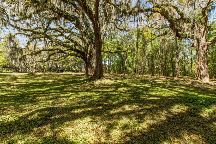 0 Amelia Road, Fernandina Beach, FL 32034 - Image #2