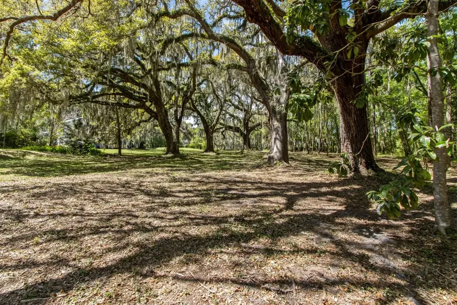 0 Amelia Road, Fernandina Beach, FL 32034 - Image #3