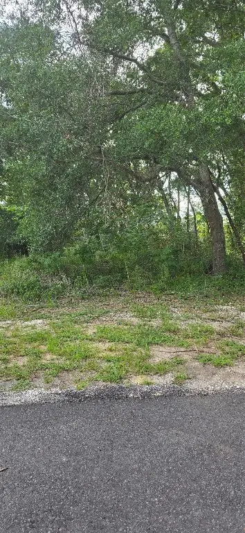 305 N 10th Street, Fernandina Beach, FL 32034 - #3