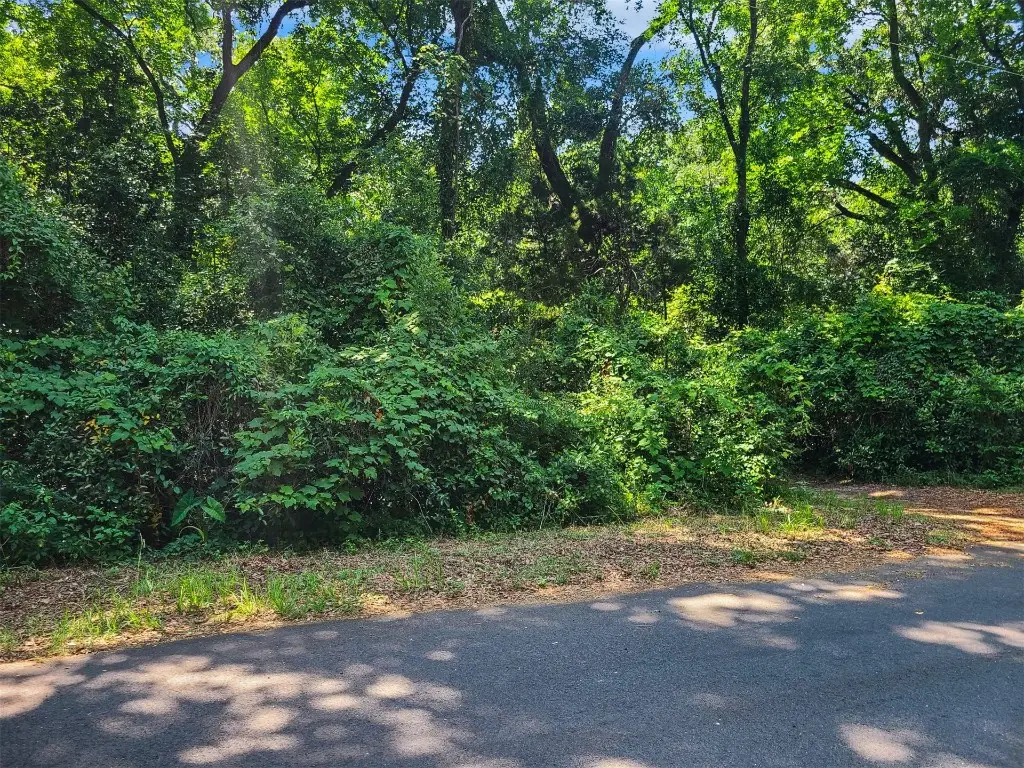 0 Amelia Circle, Fernandina Beach, FL 32034 - Image #1