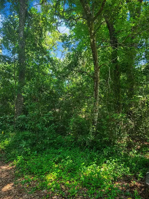 0 Amelia Circle, Fernandina Beach, FL 32034 - Image #3