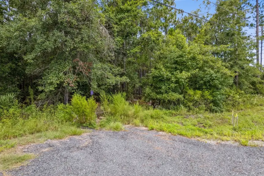 0 SR 107 and Ward Road, Fernandina Beach, FL 32034 - Image #2
