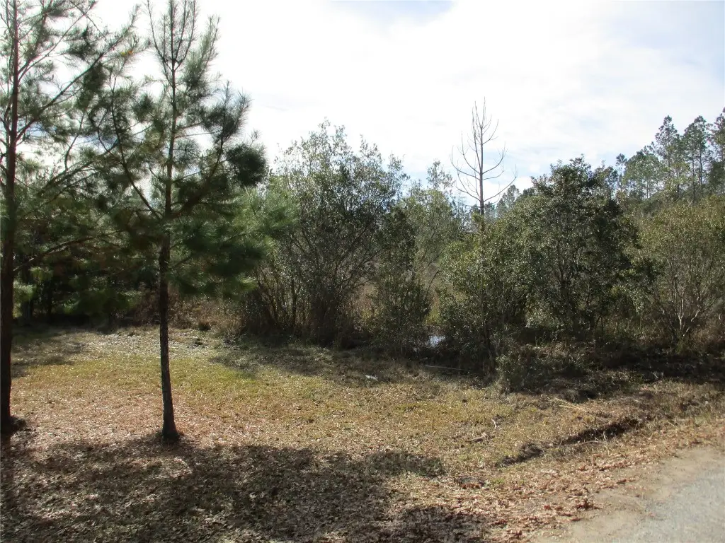 0 Quail Road, Callahan, FL 32011 - Image #1