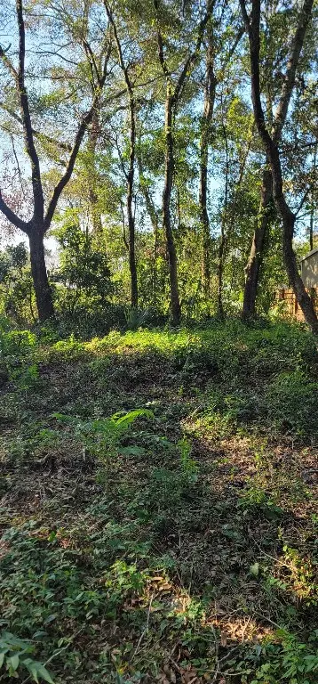 309 N 10th Street, Fernandina Beach, FL 32034 - Image #3