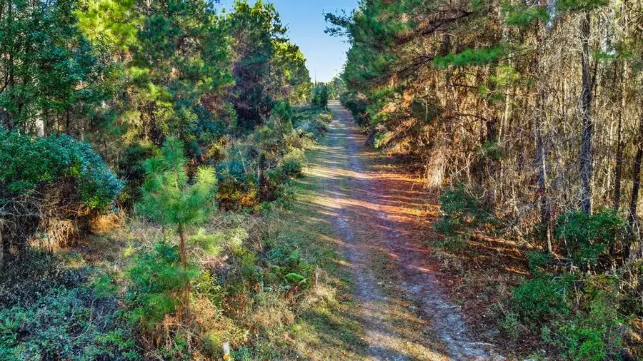 0 Do Hi Way, Hilliard, FL 32046 - Image #2