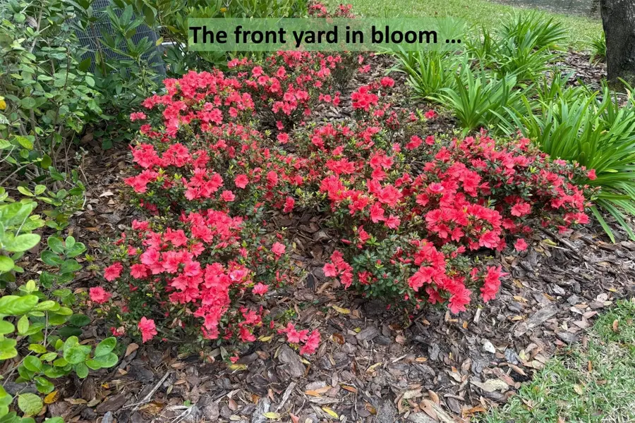 96018 Woodmere Way, Fernandina Beach, FL 32034 - #2