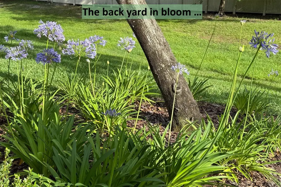 96018 Woodmere Way, Fernandina Beach, FL 32034 - #3