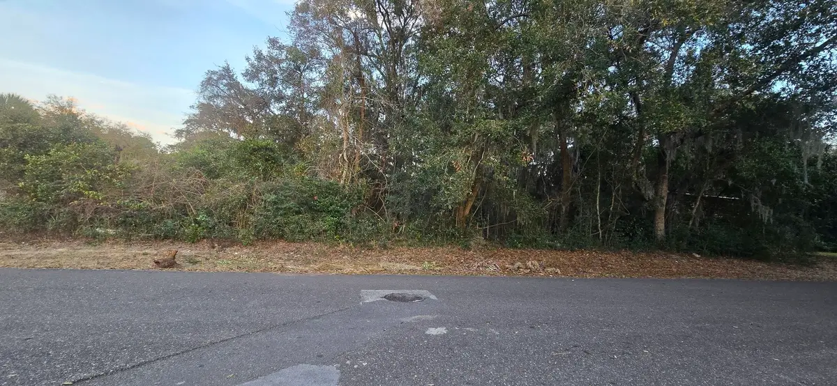 400 BLK S Division Street, Fernandina Beach, FL 32034 - #1