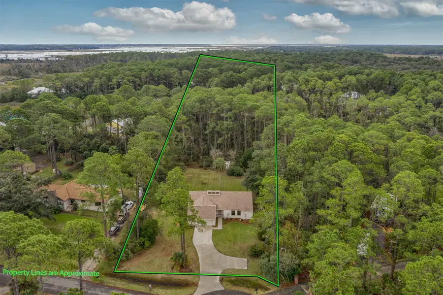 95016 Piney Island Court, Fernandina Beach, FL 32034 - #2