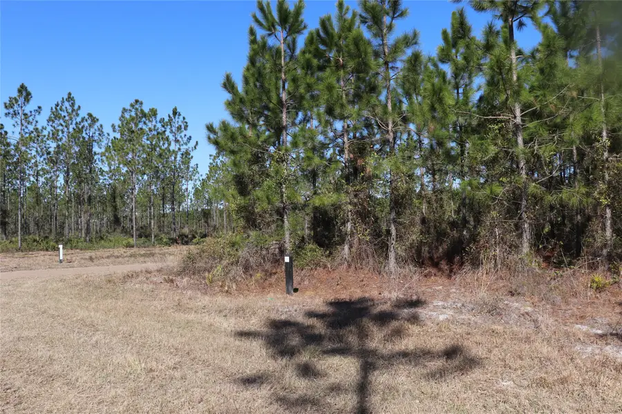 0 Georgia Street, Hilliard, FL 32046 - #2