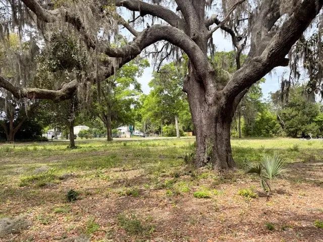 95177 Cook Road, Fernandina Beach, FL 32034 - #1