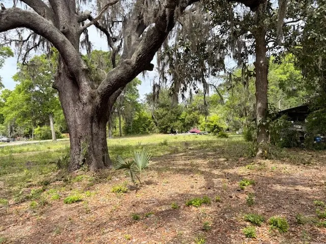 95177 Cook Road, Fernandina Beach, FL 32034 - #2