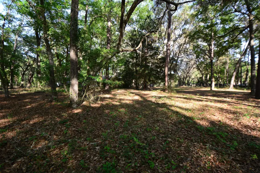 Parcel 6 Peeples Road, Yulee, FL 32097 - #3