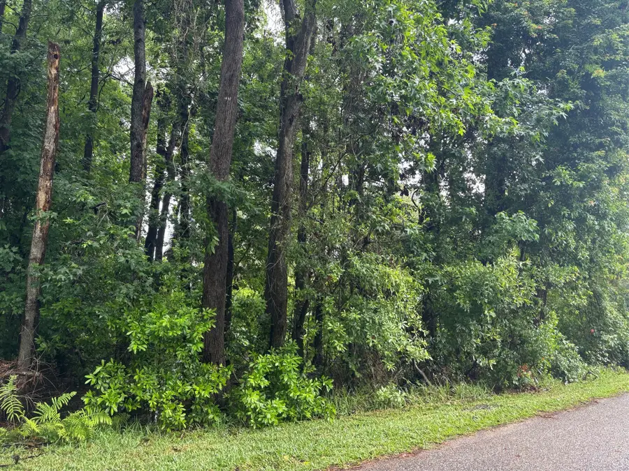 0 Cashen Drive, Fernandina Beach, FL 32034 - #2