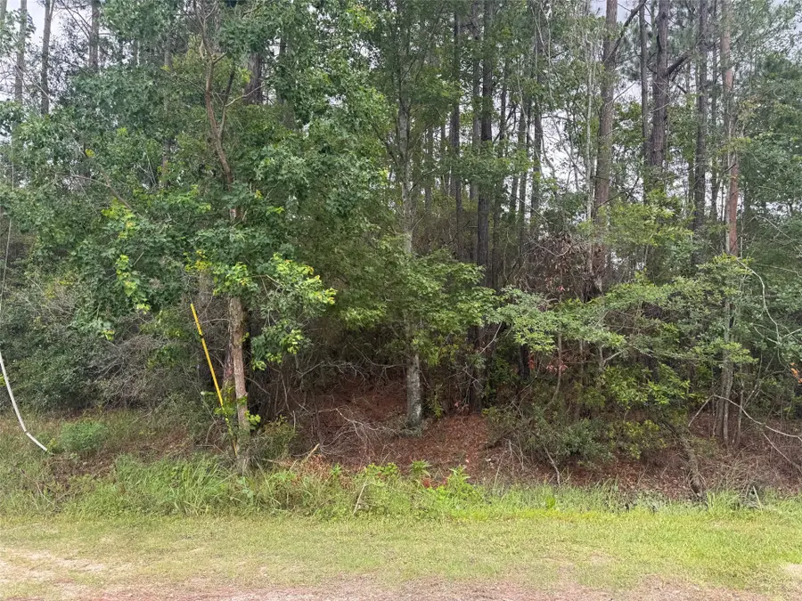 N Village Green, Jacksonville, FL 32234 - #2