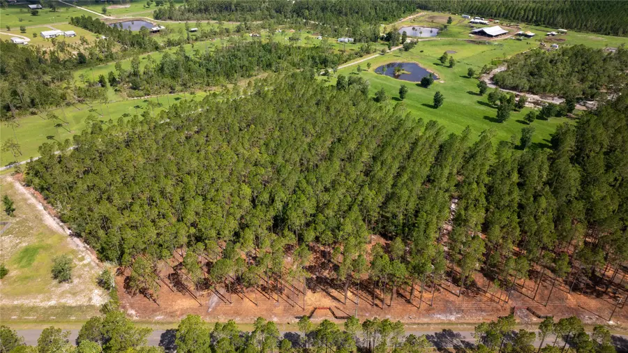 Lot 1 Woods Lane, Callahan, FL 32011 - #3