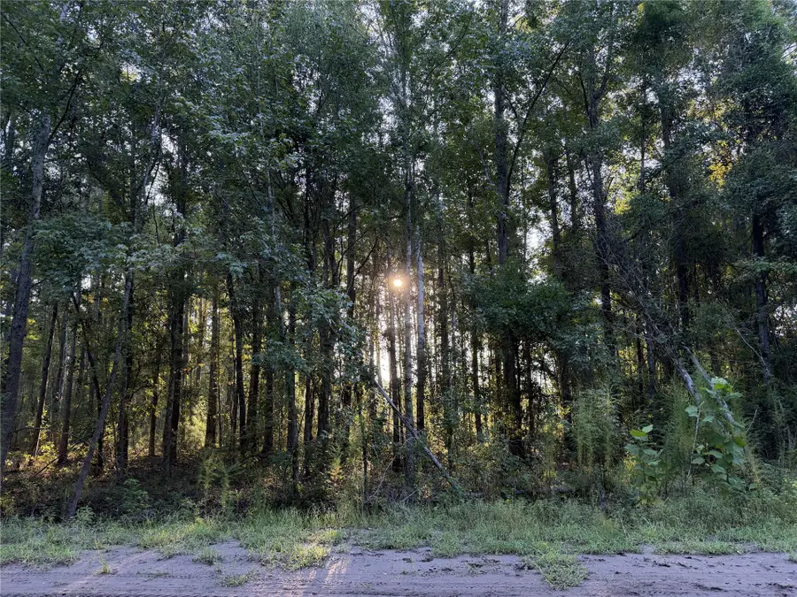 Lot 278 Little Magnolia Lane, Callahan, FL 32011 - #2