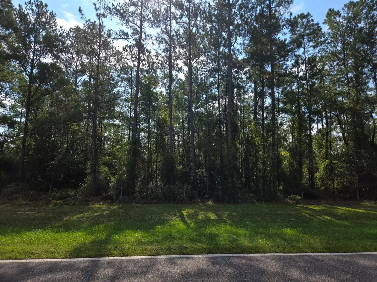 0 County Road 121, Hilliard, FL 32046 - #1
