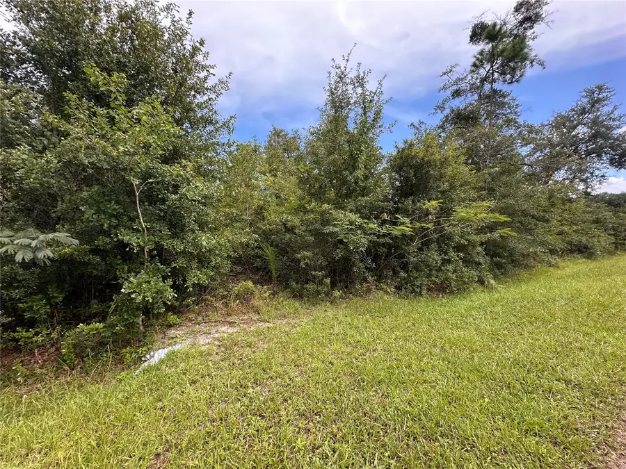 0000 Macaw Road, Yulee, FL 32097 - #2