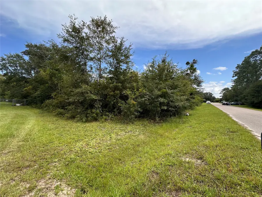 0000 Macaw Road, Yulee, FL 32097 - #3