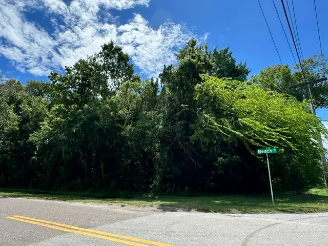 210 S 3rd Street, Fernandina Beach, FL 32034 - #3