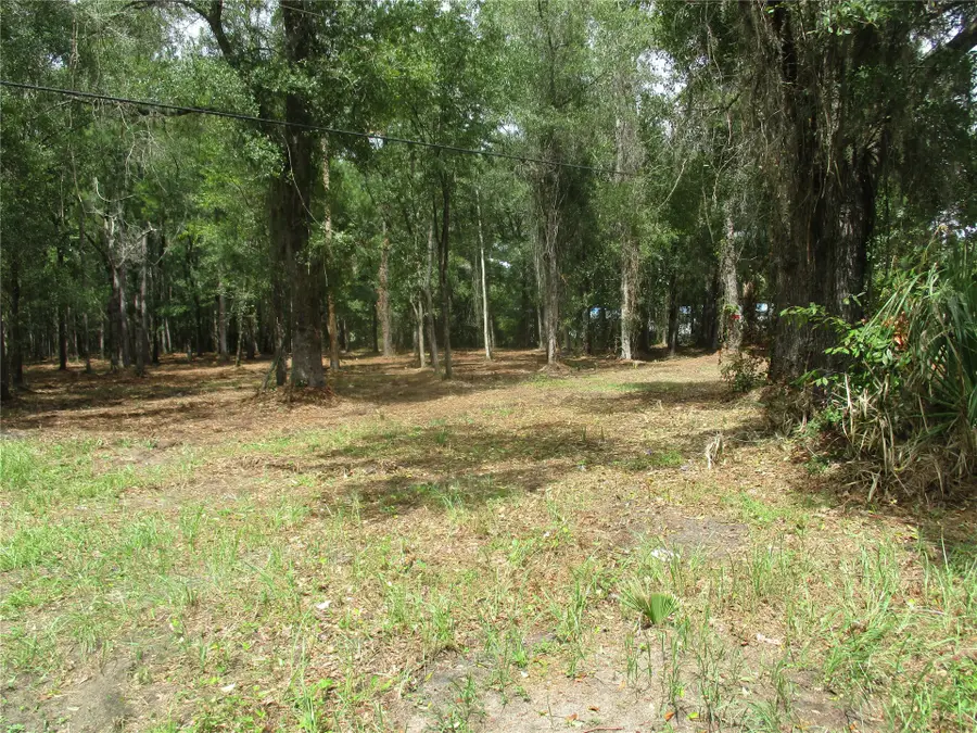 0000 New Oak Street, Hilliard, FL 32046 - #3