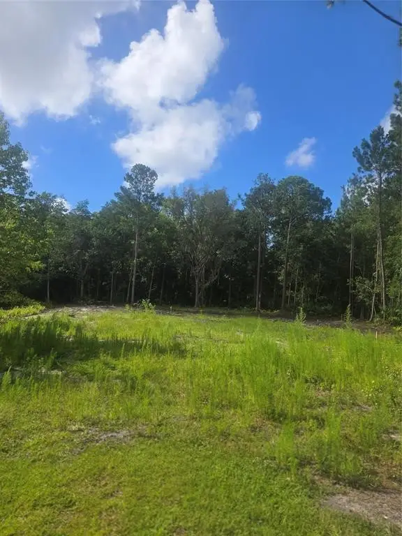 96624 Cayman Circle, Fernandina Beach, FL 32034 - #2