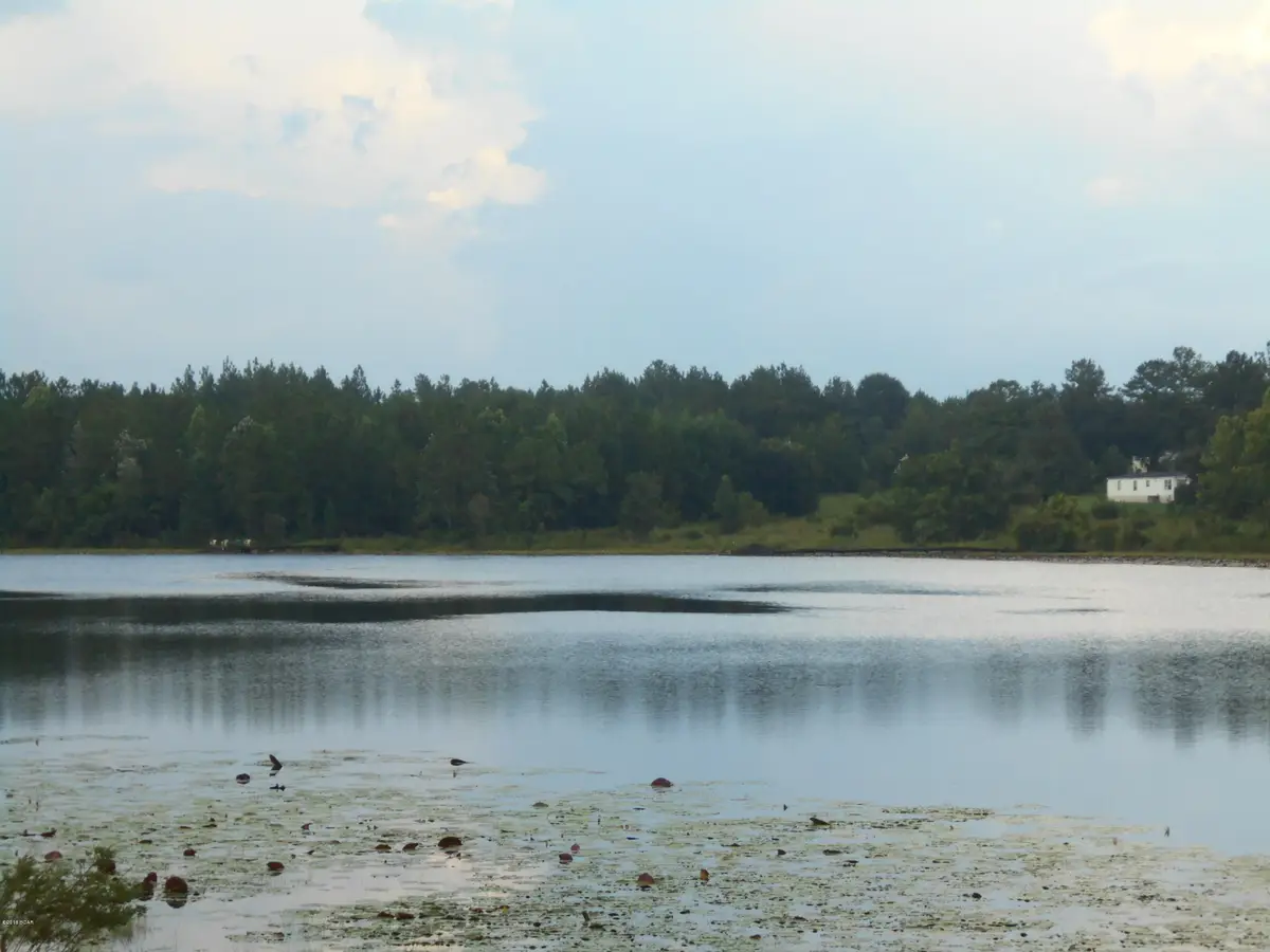 0 Drury Lane, Alford, FL 32420 - Image #1